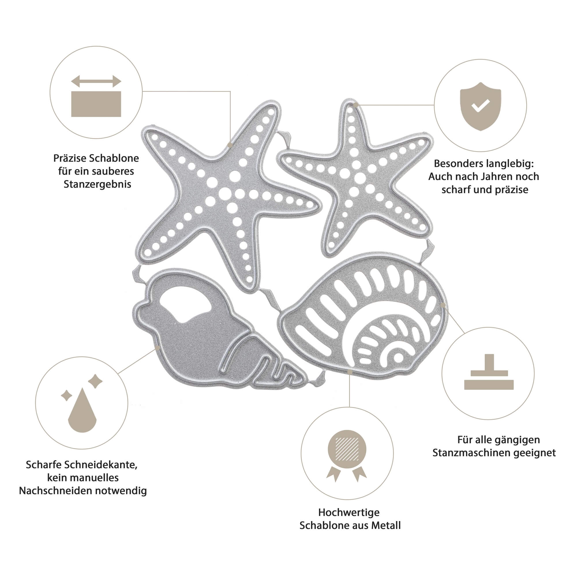 Stanzschablone Zwei Muscheln und zwei Seesterne von Stanzenshop.de: Präzise, scharfe Metall-Stanzschablonen für Meeresmotive - ideal zum Basteln. Deutsche Beschriftung und Symbole zeigen Schärfe, Genauigkeit & Kompatibilität.
