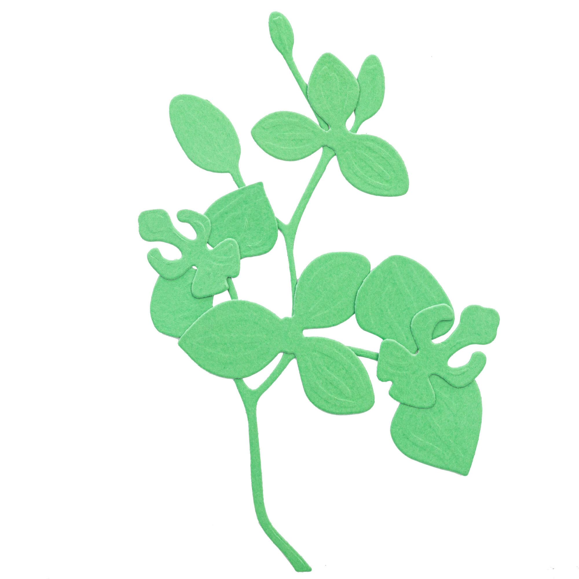 Die Stanzschablone Orchidee mit mehreren Blüten von Stanzenshop.de ist eine flache grüne Papierstanze einer stilisierten Orchidee mit mehreren Blüten, perfekt zum Basteln oder Scrapbooking, abgebildet auf einem weißen Hintergrund.