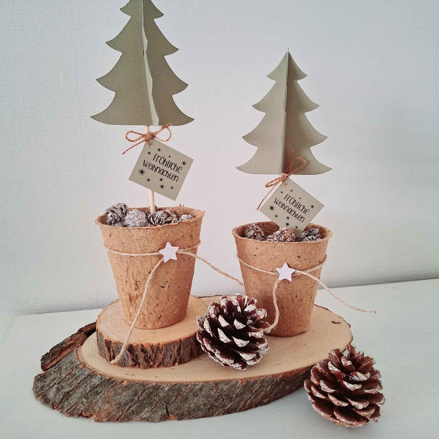 Zwei kleine Papierbäume aus der Stanzschablone 3D Tannenbaum von Stanzenshop.de, verziert mit Tannenzapfen und Sternen in Töpfen, stehen auf einer Holzplatte vor einem schlichten weißen Hintergrund.