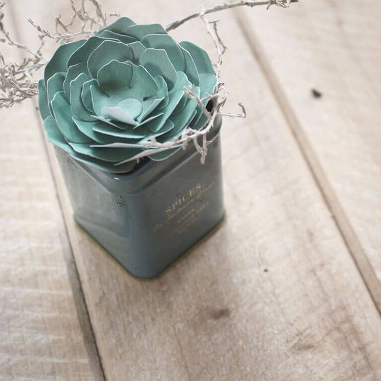 Eine grüne Papiersukkulente aus Stanzschablone: Blume aus mehreren Einzelteilen von Stanzenshop.de und weiße Zweige sind in einer quadratischen Dose arrangiert - perfekt für Scrapbooking oder Bastel Stanzen Projekte auf Holz.