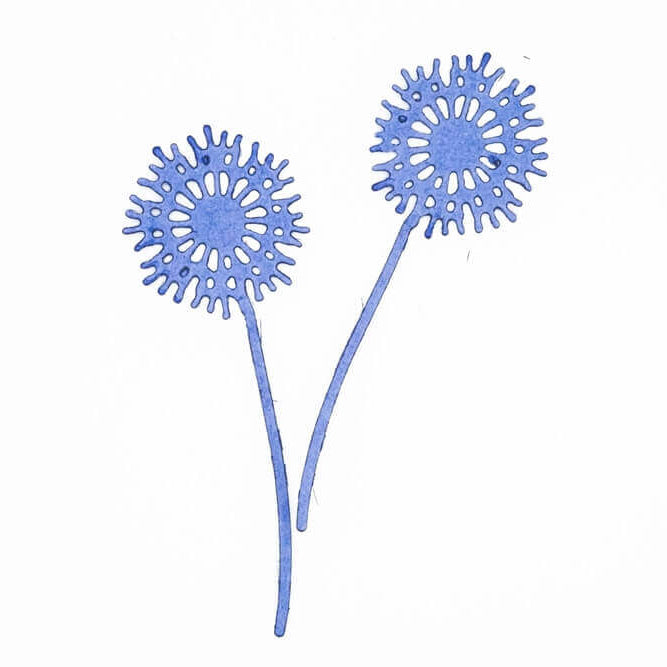 Zwei stilisierte blaue Löwenzähne mit stacheligen Blütenblättern und langen Stängeln auf Weiß - ideal zum Basteln oder Scrapbooking mit der "Stanzschablone: Zwei Löwenzahn Pflanzen" von Stanzenshop.de.
