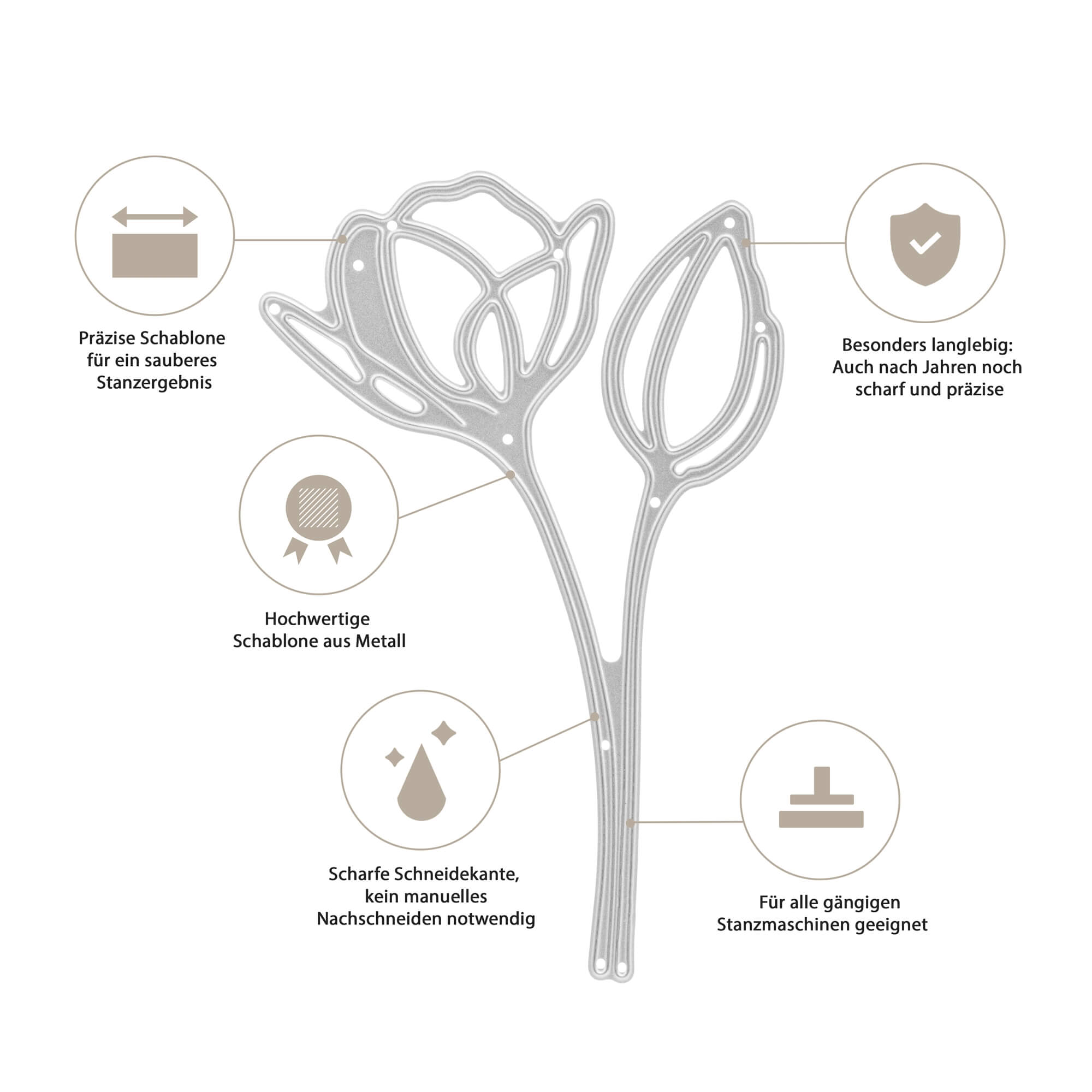 Diagramm der Stanzenshop.de Stanzschablone Blume mit zwei Blüten, mit Blumenformen, deutschen Etiketten für Präzision, Haltbarkeit, scharfe Kanten, hohe Qualität und Kompatibilität mit Big Shot für die Kartenherstellung.