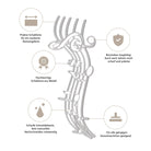 Schaubild der Stanzschablone: Geschwungene Notenzeile von Stanzenshop.de, die sich durch Präzision, Langlebigkeit, scharfe Kanten und hochwertiges Material auszeichnet - ideal für Scrapbooking und kompatibel mit gängigen Stanzmaschinen.