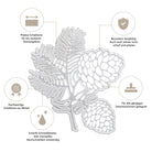 Die Stanzschablone: Zapfenzweig von Stanzenshop.de aus hochwertigem Metall bietet Präzision, Langlebigkeit, scharfe Kanten, Kompatibilität und Qualität - ideal für Scrapbooking und Bastelprojekte. Text auf Deutsch.