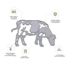 Die Stanzschablone Kuh auf der Weide" von Stanzenshop.de ist eine langlebige, präzise Metallstanze in Form einer grasenden Kuh - ideal für Bauernhof-Motive Stanze. Deutsche Texte und Icons unterstreichen ihre Schärfe und Maschinentauglichkeit.