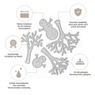 Stanzschablone Schneemänner und Bäume von Stanzenshop.de: Metallschneideschablonen in Schneemann- und Baumform, ideal für Basteln im Winter oder Scrapbooking. Hervorgehoben werden Schärfe, Langlebigkeit und Weihnachts-Kompatibilität.