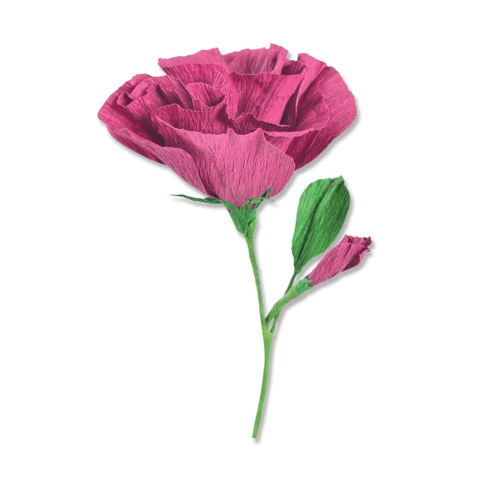 Eine Zeichnung einer rosa Blume auf weißem Hintergrund mit Sizzix • Thinlits Die Set Lisianthus von Alexis Trimble.