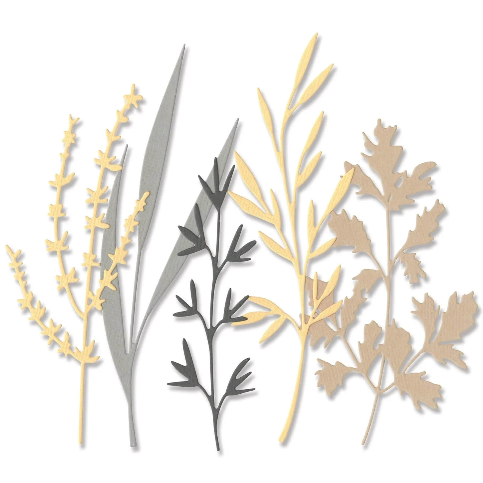 Sizzix 666254 - Die Thinlits Woodland Stems von Olivia Rose zeigen fünf botanische Stängel in gedämpftem Gelb, Grau, Beige und Schwarz - ideal für Cardmaking oder Scrapbooking - nebeneinander auf weißem Hintergrund.