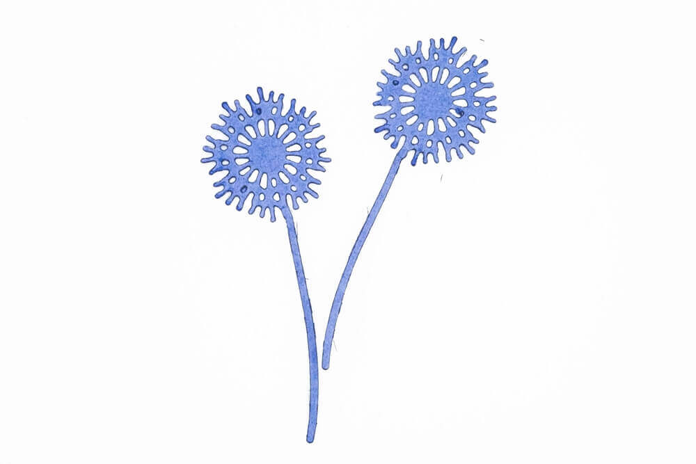 Zwei stilisierte blaue Löwenzähne mit stacheligen Blütenblättern und langen Stängeln auf Weiß - ideal zum Basteln oder Scrapbooking mit der "Stanzschablone: Zwei Löwenzahn Pflanzen" von Stanzenshop.de.