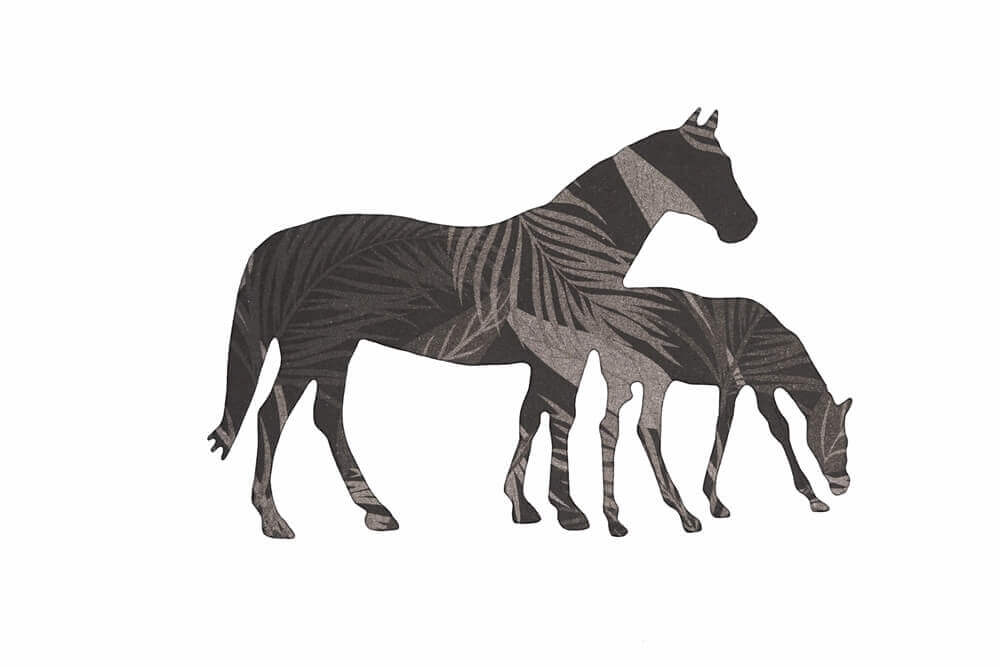 Ein Zebra und ein Kalb stehen nebeneinander und ergeben eine wunderschöne Stanzschablone Zwei Pferde auf einer Stanze bastelergebnis vom Stanzenshop.de.